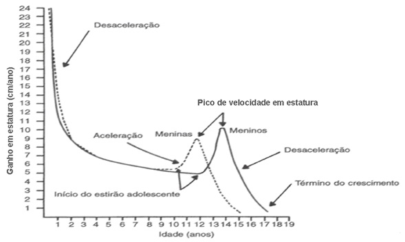 velocidade de crescimento